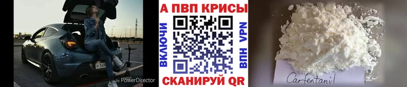 Альфа ПВП крисы CK  Обь 