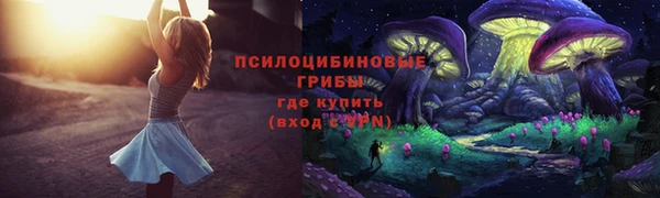 кокаин Белокуриха