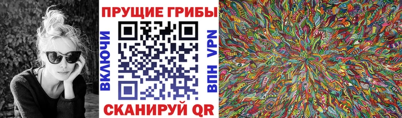 Галлюциногенные грибы Psilocybe Обь