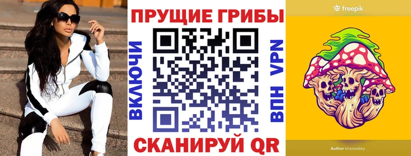 где продают   Обь  Псилоцибиновые грибы Cubensis 
